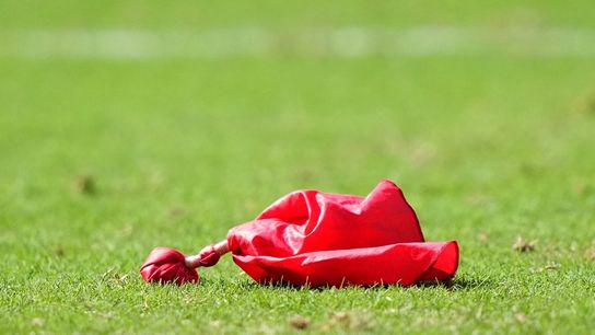 NFL to allow head coaches to tap staff member for challenges (NFL)