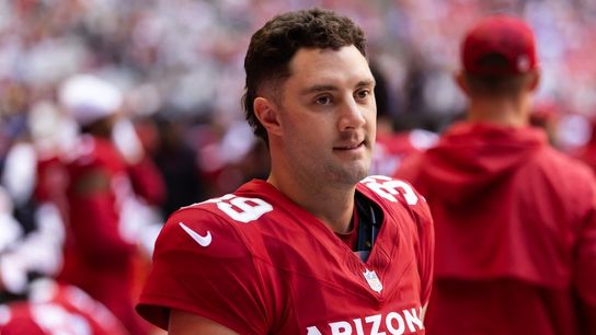 Report: Patriots sign P Matt Haack (NFL). Photo by Mark J. Rebilas-Imagn Images