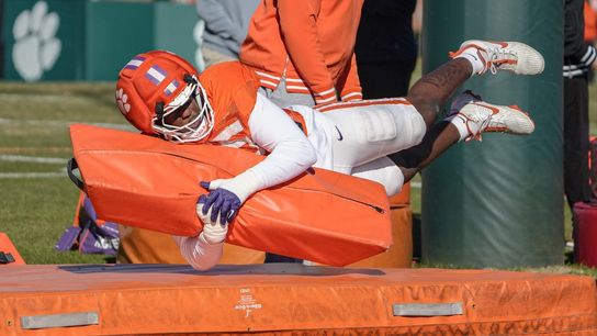 Clemson DT Vic Burley suspended after arrest (College Football)
