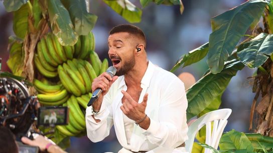 Ricky Martin, Brazilian DJ Pedro Sampaio to play halftime show in Rio (NFL)