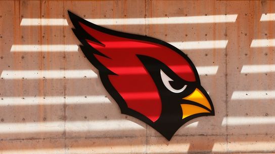 NFL suspends Cards exec Ryan Gold for violating gambling policy (NFL). Photo by Rob Schumacher/The Republic / USA TODAY NETWORK via Imagn Images