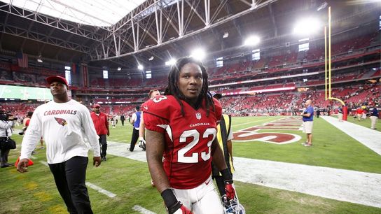 Ice bucket challenge gaining steam after Chris Johnson ALS diagnosis (NFL). Photo by Rob Schumacher/The Republic / USA TODAY NETWORK via Imagn Images