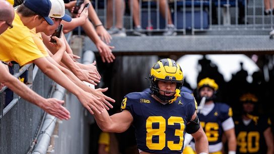 Michigan TE apologizes for leaked texts criticizing OC (College Football)
