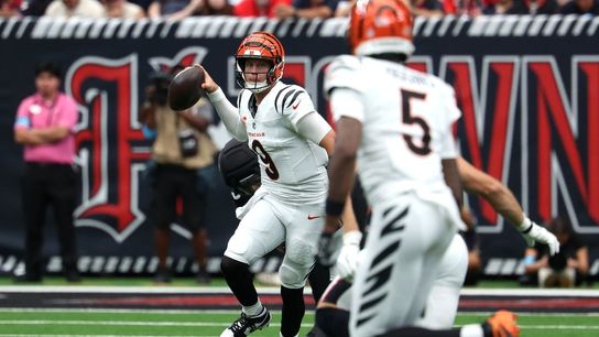 Joe Burrow-Ja'Marr Chase connection powers Bengals past Texans (NFL). Photo by Thomas Shea