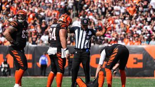 NFL injury roundup: Lamar Jackson hurts ankle, star WRs go down (NFL). Photo by Phil Didion