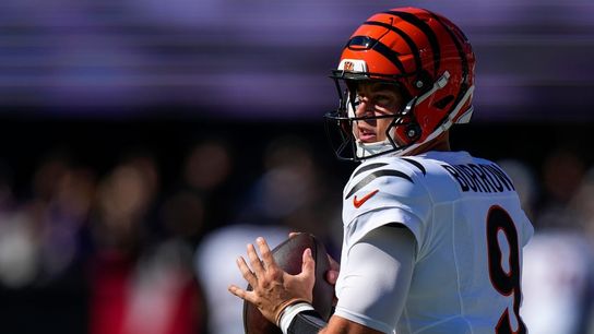 Bengals, fresh off comeback win, host Titans team that's unable to finish (NFL). Photo by Sam Greene