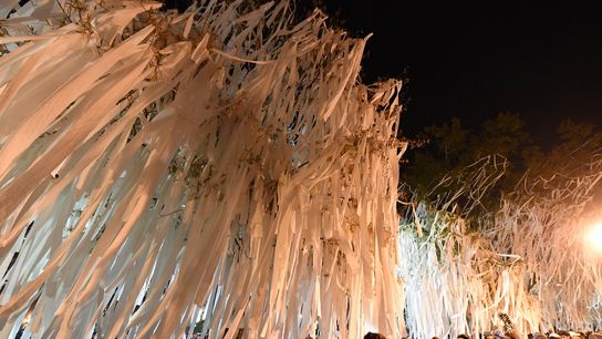 Alabama fan who poisoned Auburn trees dies (College Football)