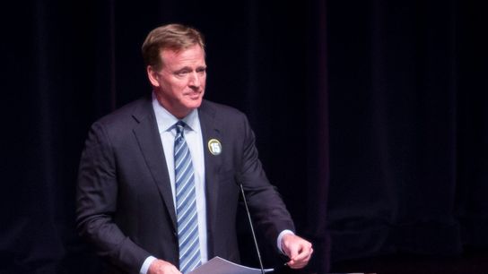 Roger Goodell: NFL won't release WFT report (NFL)