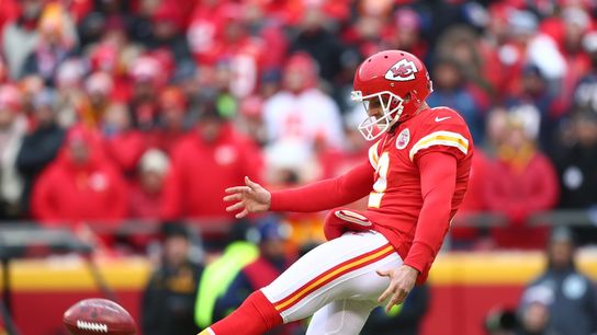 Reports: Steelers signing P Colquitt to one-year deal (NFL)