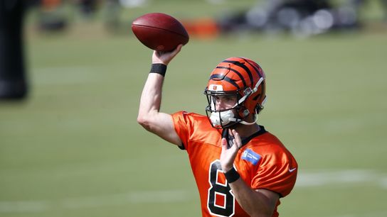 Bengals to start QB Allen with Burrow out (NFL)