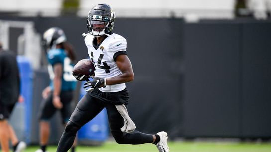 Titans add WR Terry Godwin, waive WR Juwan Green (NFL)
