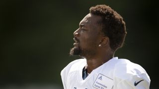 Titans promote WR with Davis, Brown banged up (NFL)
