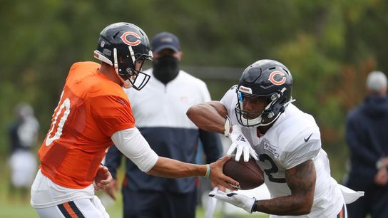 Bears RB Montgomery carted off with leg injury (NFL)