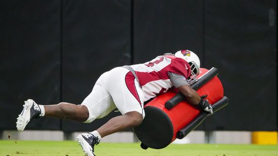 Titans sign DT Trevon Coley (NFL)