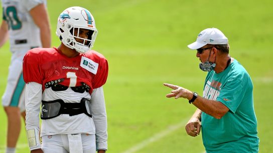 Dolphins OC Chan Gailey resigns (NFL)