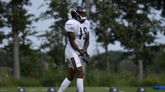 Bears release Ginn Jr. (NFL)