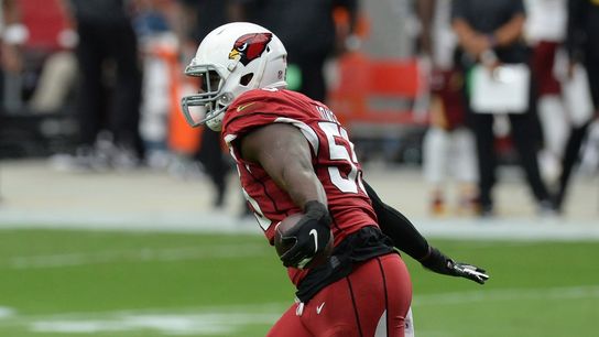 Cardinals' Jones (biceps) out for season (NFL)