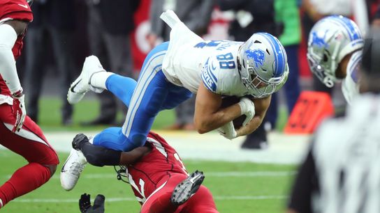 Lions edge Cardinals to end 11-game losing streak (NFL)