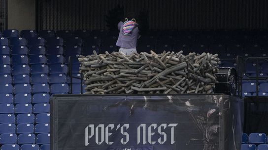 Nevermore: Injured Ravens mascot Poe out for season (NFL)