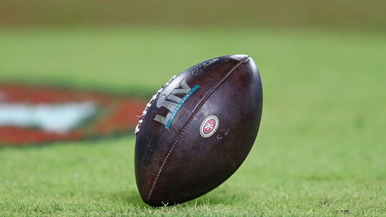 NFL approves 17-game schedule formula, not 17th game (NFL)
