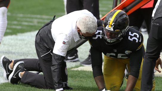 Report: Steelers LB Bush sustains torn ACL vs. Browns (NFL)