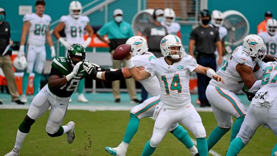 Fitzpatrick helps Dolphins blank Jets (NFL)