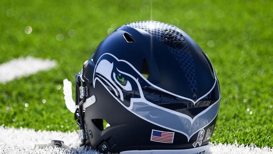 Seahawks to add Mike Holmgren, Matt Hasselbeck to Ring of Honor (NFL)