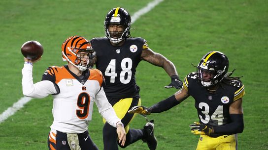 Roethlisberger shines as Steelers rout Bengals (NFL)