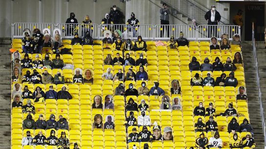 COVID forces Steelers to ban fans for December games (NFL)