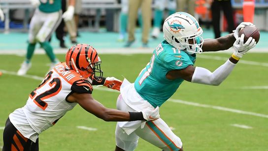Dolphins activate WR DeVante Parker, sign two tight ends (NFL)