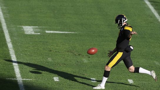 Reports: Vikings to sign P Jordan Berry (NFL)