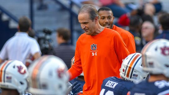 Kevin Steele named defensive coordinator at Miami (College Football)