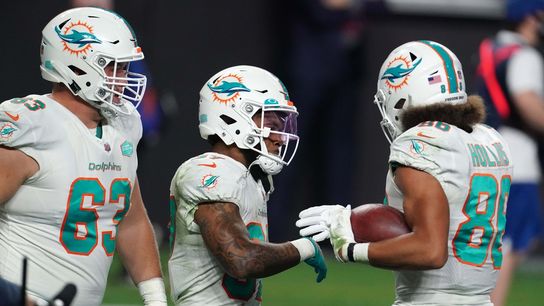 NFL Roundup: Dolphins stun Raiders with late FG (NFL)
