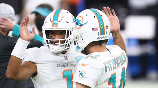 Win and in, but Dolphins still face long playoff odds (NFL)