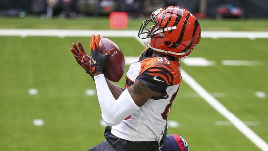 Bengals WR Higgins aggravates hamstring, leaves game (NFL)