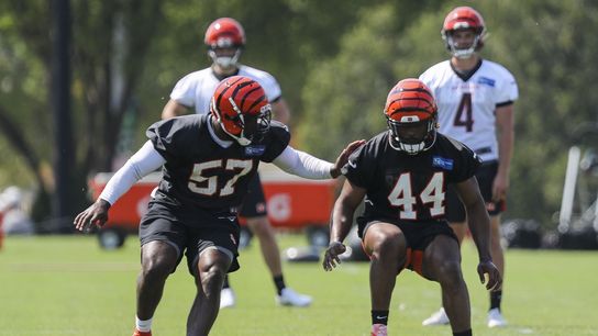 Bengals rookie Darius Hodge arrested for alleged assault (NFL)