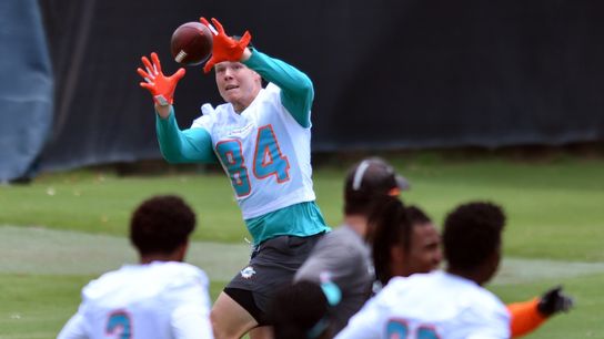 Dolphins TE Hunter Long carted off with leg injury (NFL)