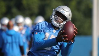 Bears sign WR Breshad Perriman (NFL)
