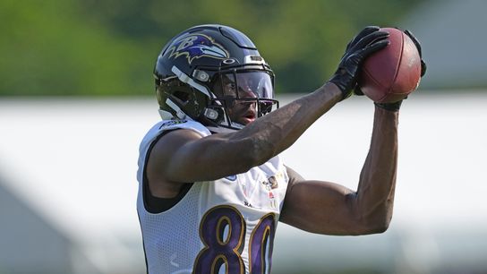 Ravens release WR Miles Boykin (NFL)