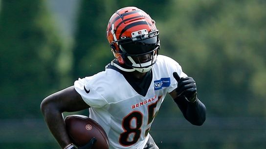Bengals WR Tee Higgins (shoulder) ruled out vs. Jaguars (NFL)