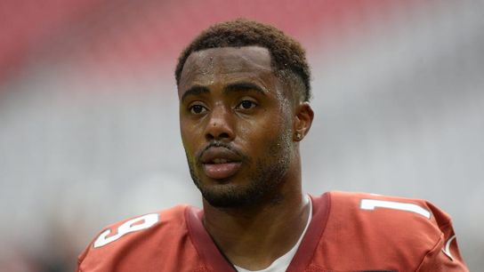 Falcons sign WR KeeSean Johnson (NFL)