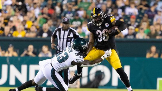 NFL roundup: Pats, Steelers win preseason openers (NFL)