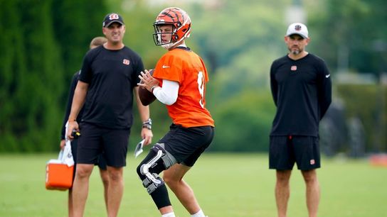 Bengals promote QB coach Dan Pitcher to fill OC role (NFL)