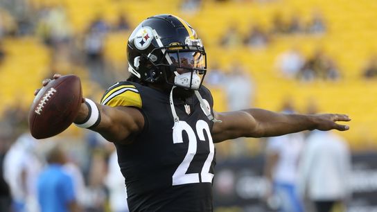 Untested Steelers' newcomers part of plan at Buffalo (NFL)