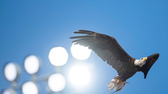 Auburn routs Akron behind Bo Nix (College Football)