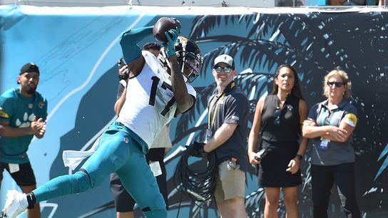 Jaguars WR D.J. Chark carted off with reported fractured ankle (NFL)