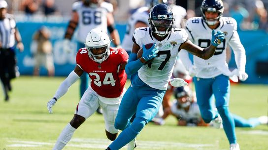 Panthers WR DJ Chark (hamstring) ruled out vs. Falcons (NFL)