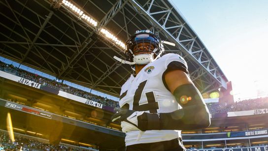 Report: Panthers LB Damien Wilson facing assault charge (NFL)