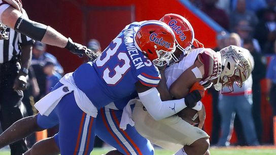 Gators hold off Seminoles to earn bowl bid, 24-21 (College Football)