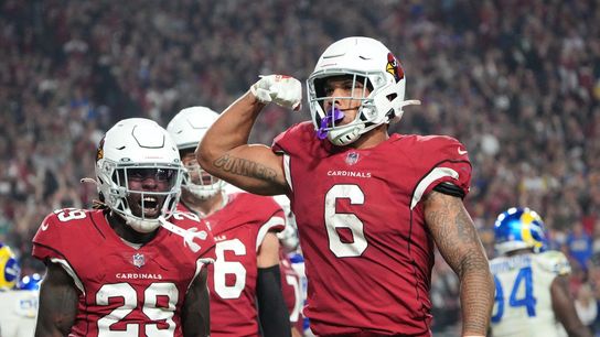 Cardinals carry perfect road record to Detroit (NFL)